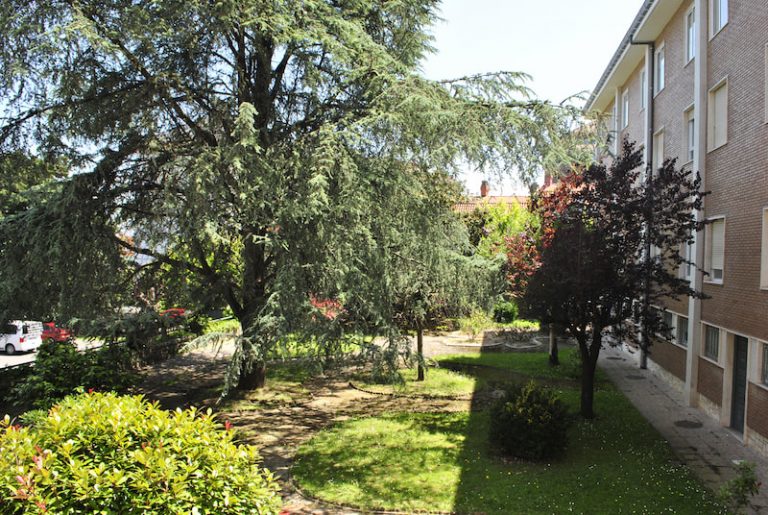 residencia-alto-de-miranda-jardines